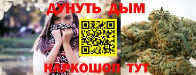 гидра Волгодонск