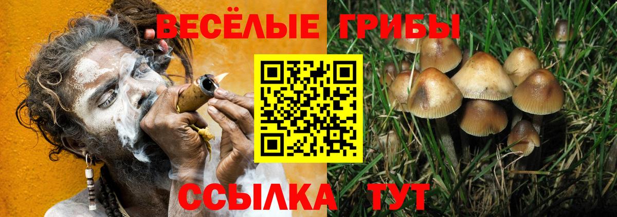  Кокаин Коряжма