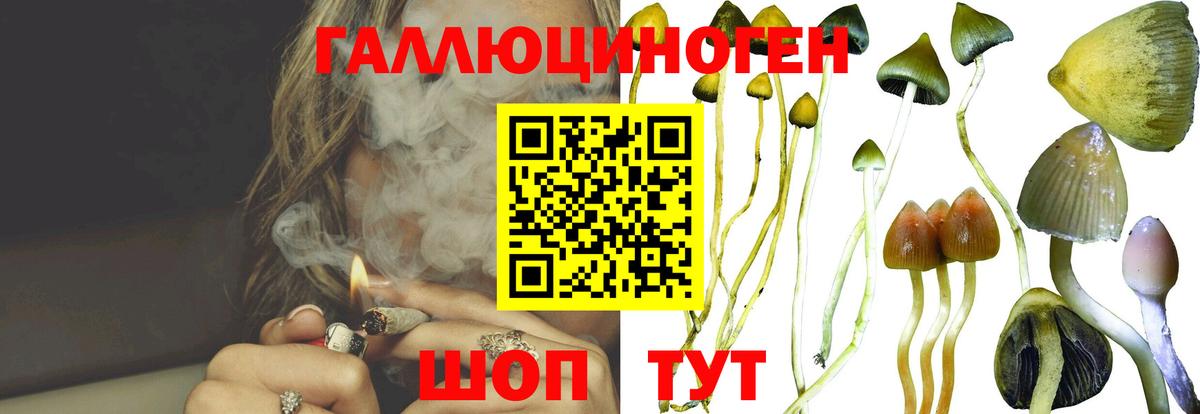 Галлюциногенные грибы прущие грибы Коряжма